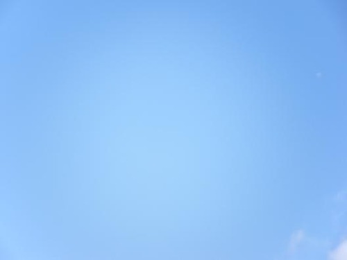 平成24年1月25日撮影 026