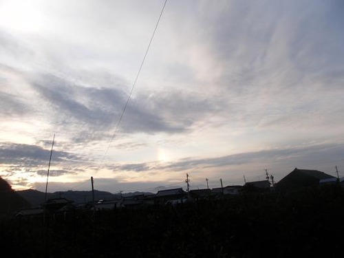 平成２4年１月18日撮影 008