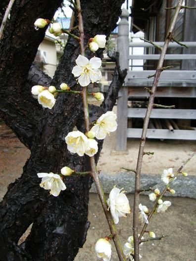 平成24年2月23日 032