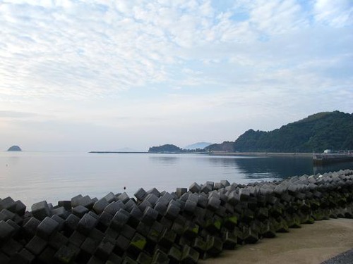 平成24年5月24日 017