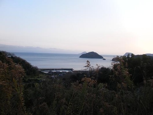 平成２4年１月21日撮影 012