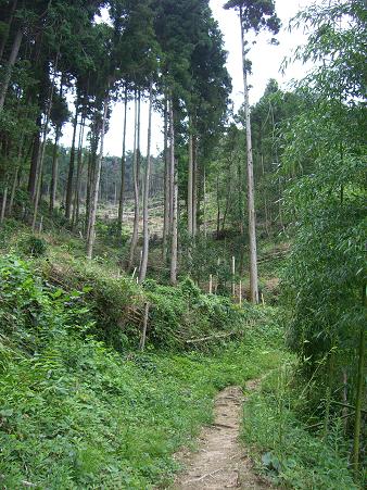 img20090421_5.jpg