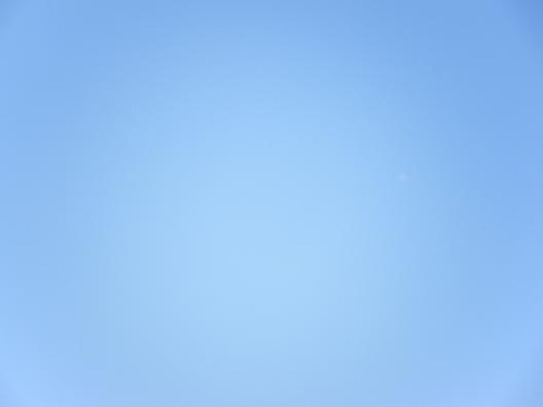 平成24年1月25日撮影 028