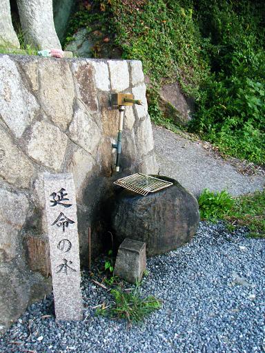 img20090928_8.jpg
