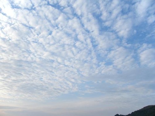 平成24年5月24日 018