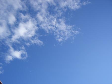 img20071130_2.jpg