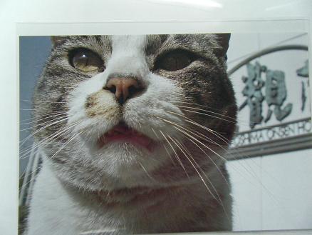 img20090425_1.jpg