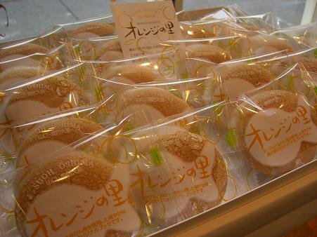 img20090423_5.jpg