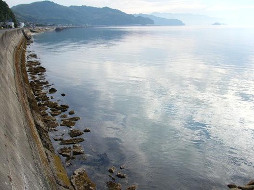 平成24年5月24日 014