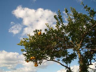 img20051230.jpg