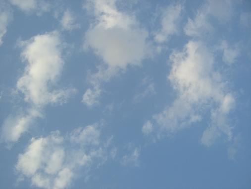 img20070330_7.jpg