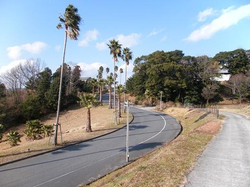 平成２4年１月25日撮影 022