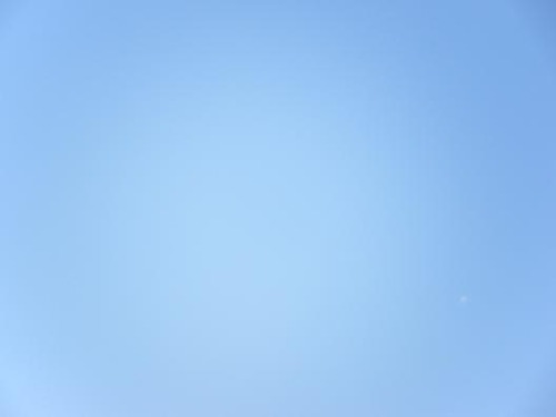 平成24年1月25日撮影 030