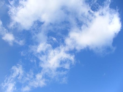平成23年12月25日撮影 011