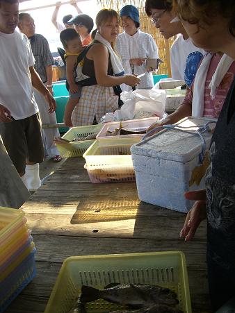 img20070821_1.jpg