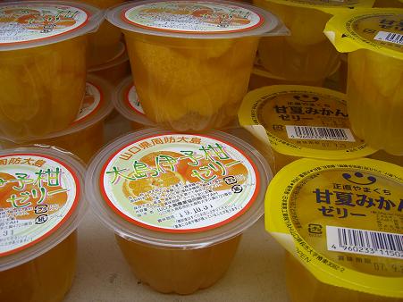 img20090423_3.jpg