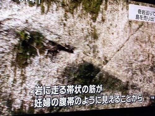 1331b1a7-s