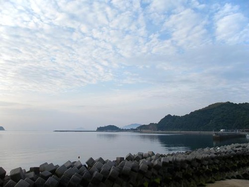 平成24年5月24日 019