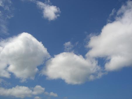 img20070817_1.jpg