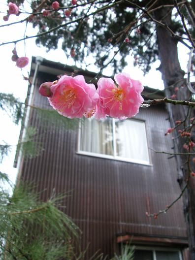 平成24年2月23日 036