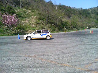dsc00061.jpg