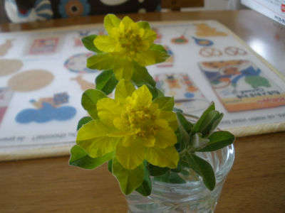5f4.jpg