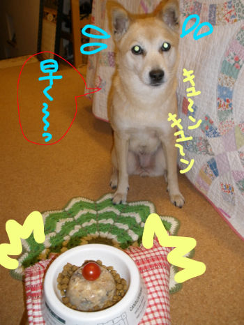 09spi9sai1.jpg