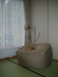 1ba.jpg