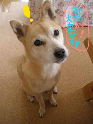 09yuki.jpg