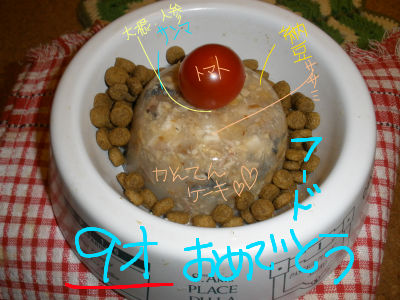 09spi9sai.jpg
