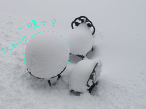 094yuki2.jpg