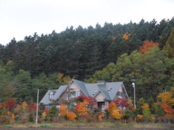 09kouyou3.jpg