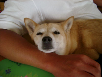 akispi2.jpg