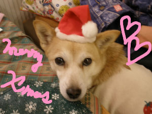 08spixmas.jpg