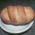 img20060411.jpg
