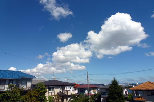 FILE0000
