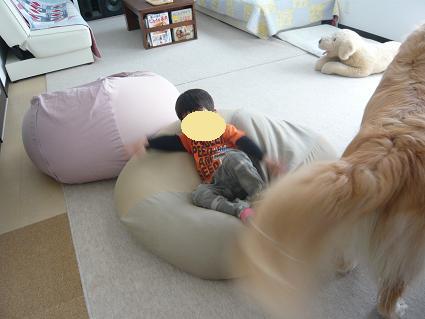 06g.jpg