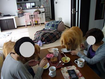 10a.jpg