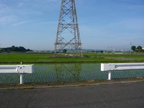 12a.jpg