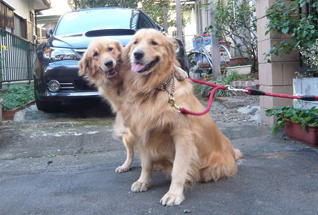 z.bmp