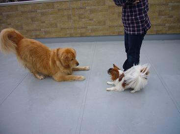 04.jpg