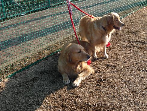 a1_1.jpg