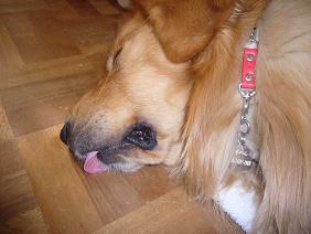 img20070228.jpg