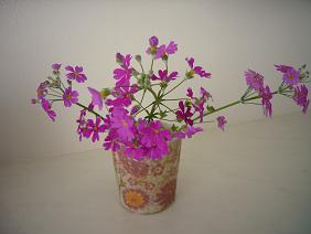 10f.jpg