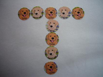 aaa.jpg