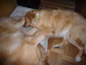 img20070228_1.jpg