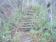 img20061009.jpg