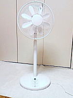 img20090701.jpg