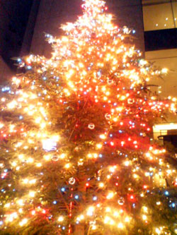 xmas.jpg