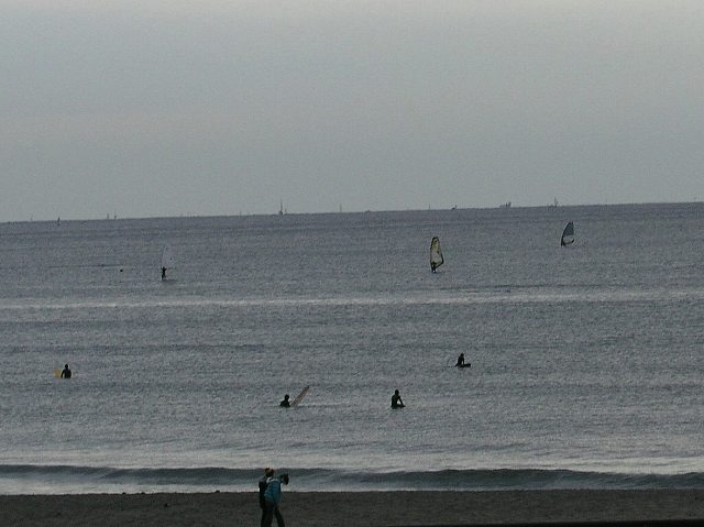 oyogi.jpg